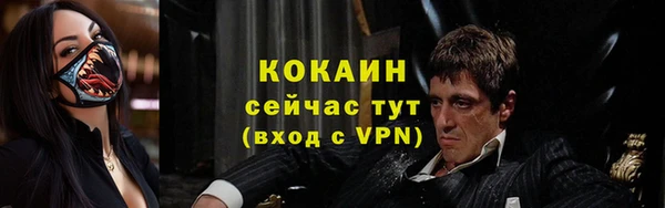 стаф Абаза
