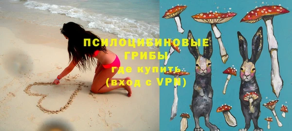 не бодяженный Алексин